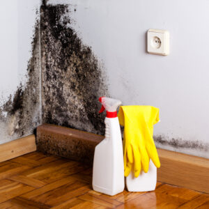 Black,Mold,In,The,Corner,Of,Room,Wall.,Preparation,For How Do You Test for Mold in the Home?