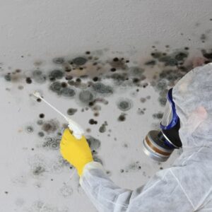 The Warning Signs of Mold Toxicity