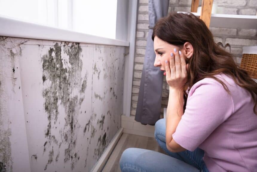 Tips to Buy or Sell a House With Mold