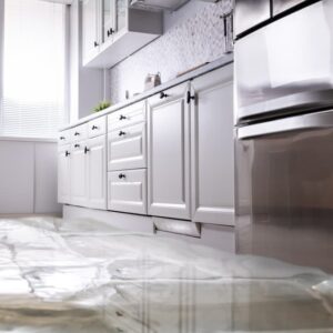 Water Damage Restoration and Mold: All You Need to Know