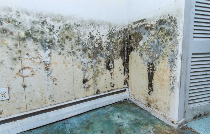 mold exposure