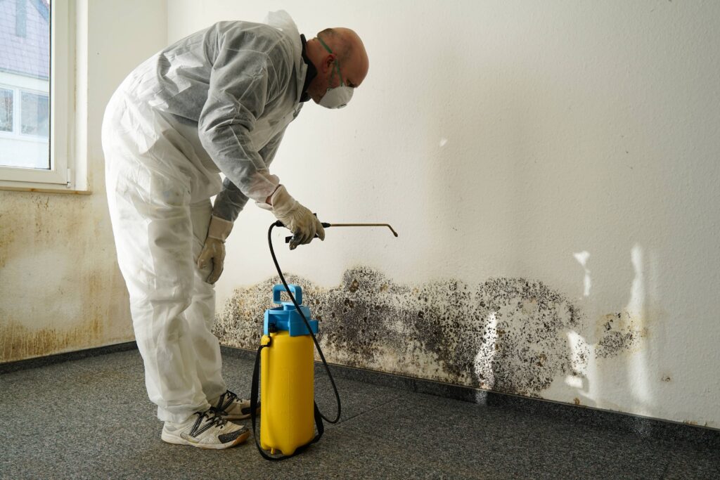 mold remediation