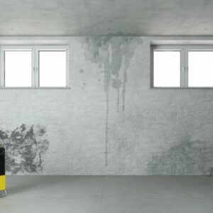 can water turn into mold