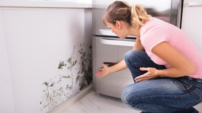 how-to-prevent-mold (1) how-to-prevent-mold