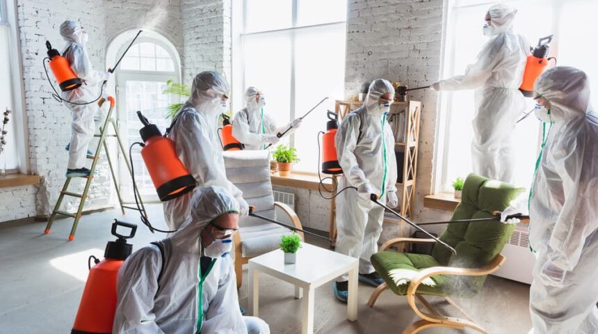 what-is-mold-remediation what is mold remediation
