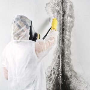 mold remediation orlando