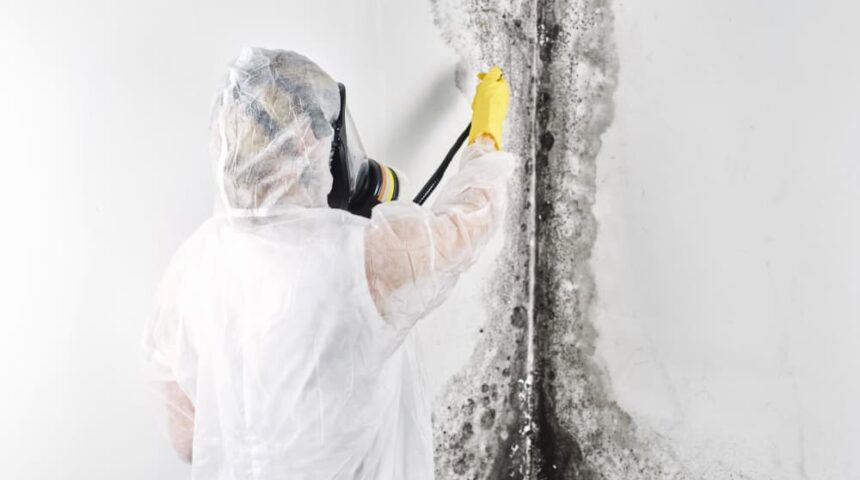 mold remediation orlando mold remediation orlando