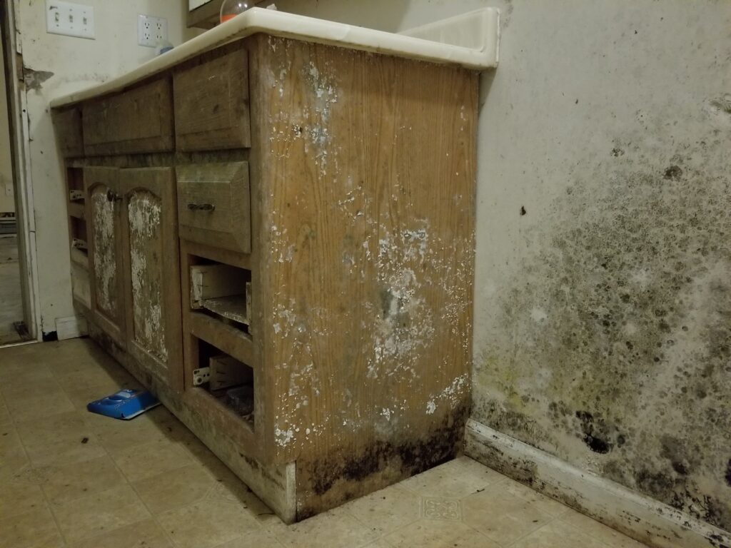 factors that affect the cost of mold remediation