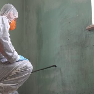 is mold remediation worth it
