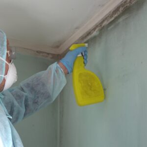Who Pays for Mold Remediation?
