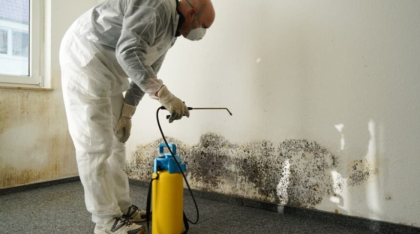 how-long-does-mold-remediation-take how long does mold remediation take