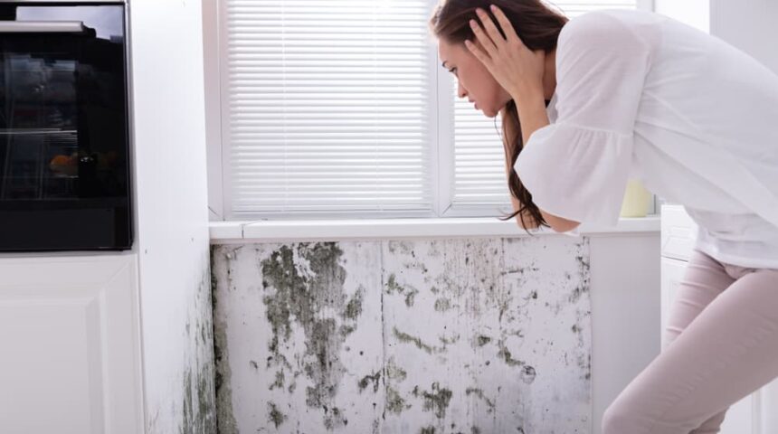 can-you-stay-in-home-during-mold-remediation can-you-stay-in-home-during-mold-remediation