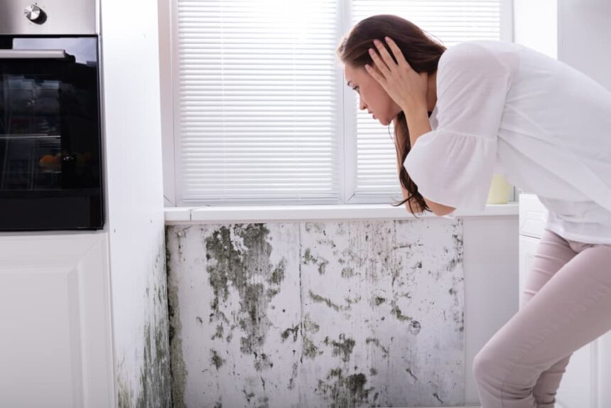 can-you-stay-in-home-during-mold-remediation