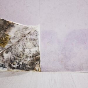 how-to-detect-mold-in-your-house
