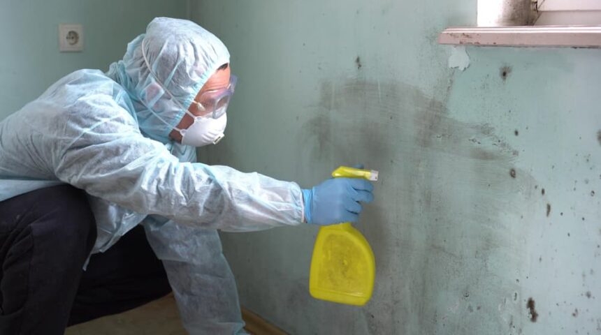 mold-remediation-orlando mold remediation orlando