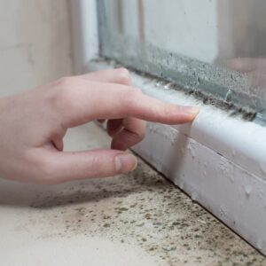 different types of mold