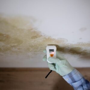 mold prevention