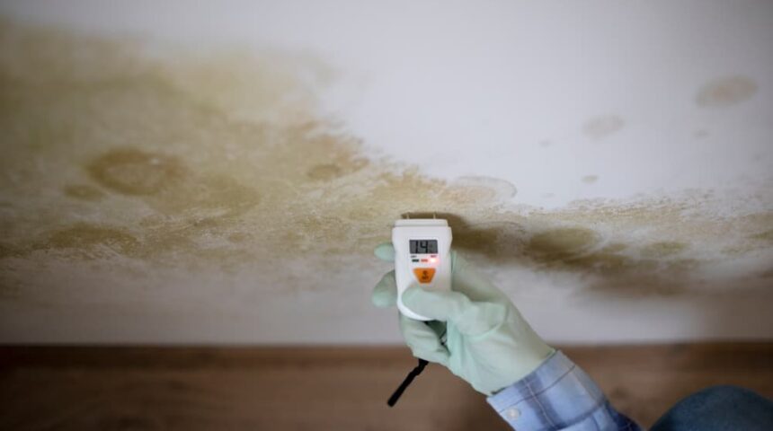 mold-prevention mold prevention