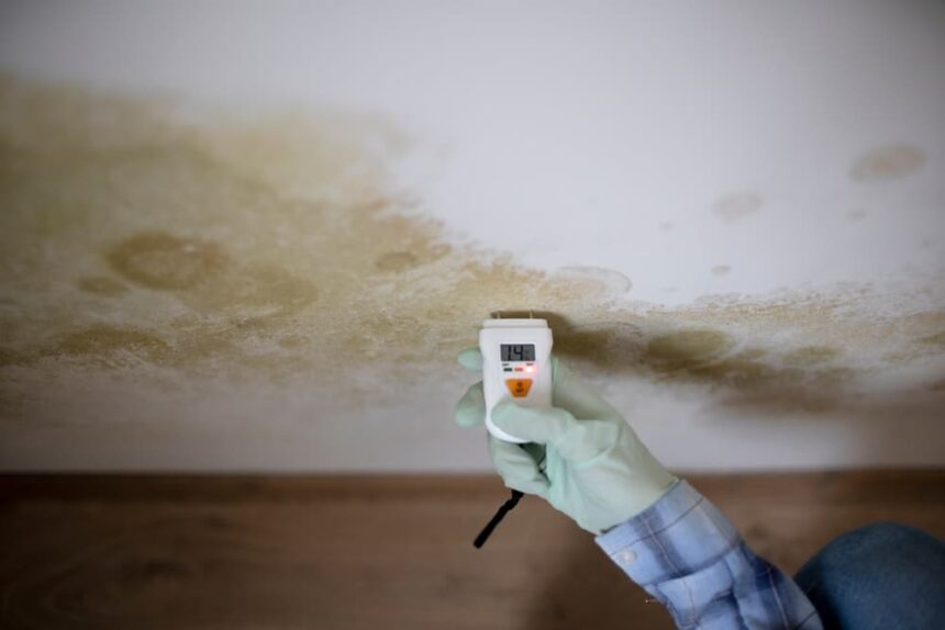 mold prevention