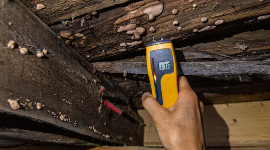 moisture-detector moisture-detector