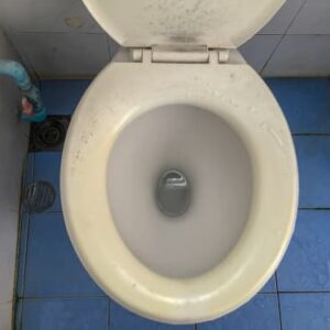 dirty toilet before black mold