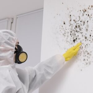 person pointing at black mold
