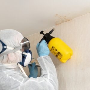 professional-mold-removal-in-bathroom-wall
