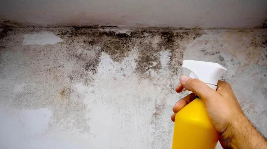 man holding yellow bleach spray bottle